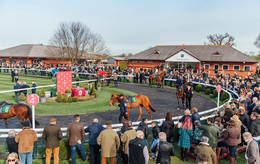 Paddock Enclosure thumbnail image