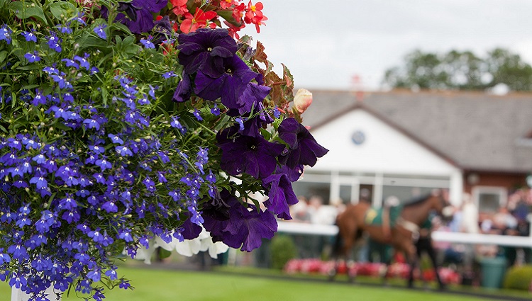 Racing Makes A Welcome Return to Bangor-on-Dee with Ladies Day thumbnail image