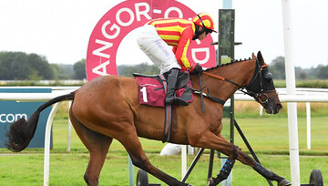 Ladies Day (30.7.21) thumbnail image