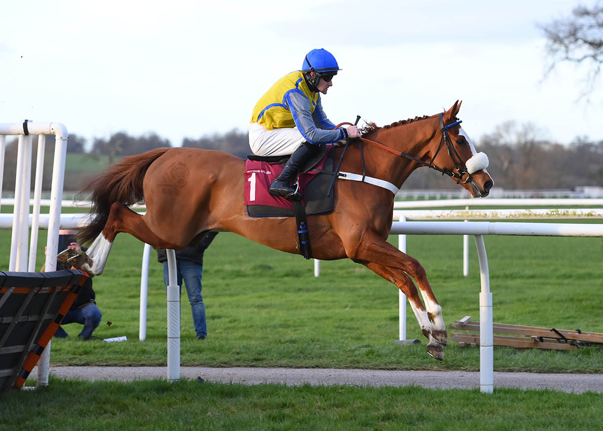 Bangor on Dee Racecourse 2022 Fixtures Announced Bangor On Dee Racecourse