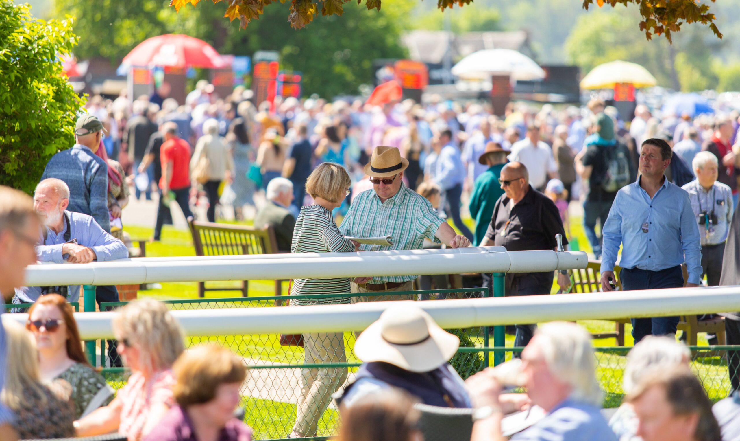 Popular Wrexham Lager Wrexham Family Day Returns This Saturday (20 May) thumbnail image