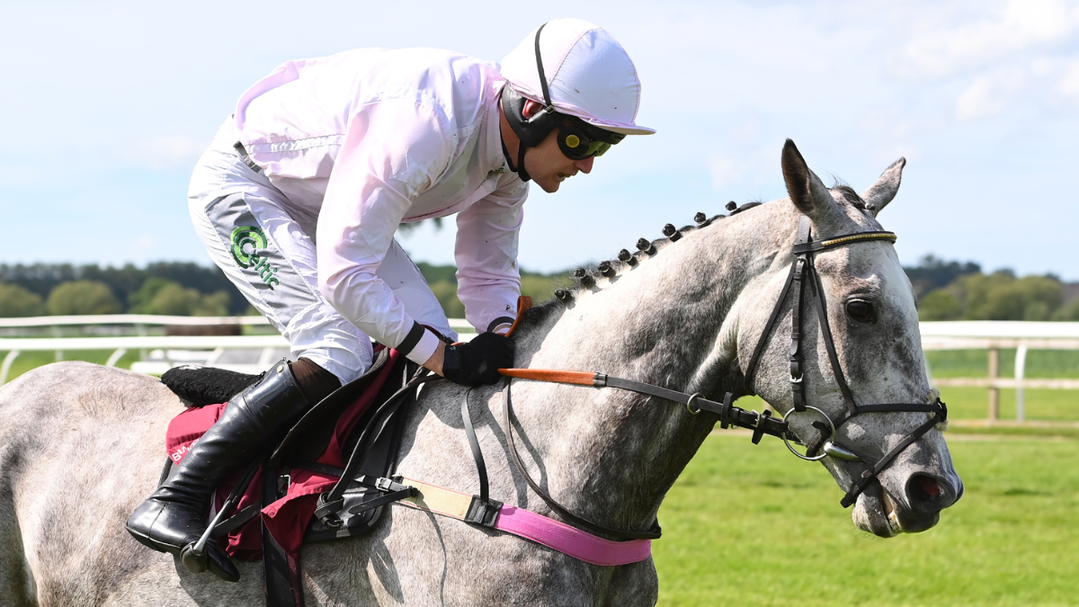 BANGOR-ON-DEE RACECOURSE OFFERS £1 TICKETS FOR WREXHAM SEASON TICKET HOLDERS THIS WEEKEND thumbnail image