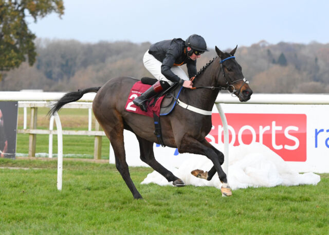 Take a look at some of the winners from our Early December Meeting 🏇

🥇Ballygeary
🥇Shesupincourt
🥇Guard The Moon

#BangorRaces