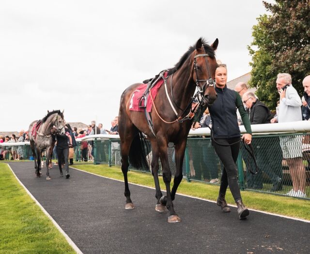 #SundayFunday

Make your Sunday even better by booking your next trip to Bangor-on-Dee Racecourse🎟️

UP NEXT - The @BroughtonHallEstates North Wales National Raceday🎊

Get your tickets via the link in our bio above☝️