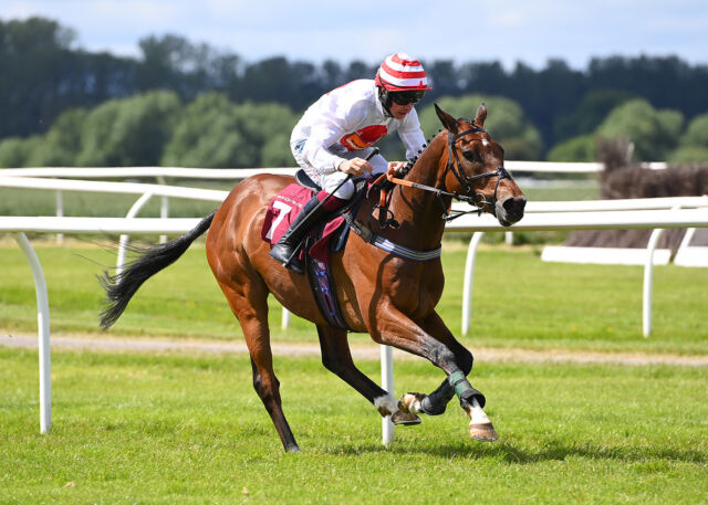 Get ready for the excitement of meeting friends at #BangorRaces this Spring💐

Our Spring fixtures include:

📆Saturday 22 March
Premier Hurdle Day 2025

📆Wrexham Day 2025
Saturday 12 April

📆 Gents Evening 2025
Thursday 24 April

📆Family Fun Day 2025
Saturday 17 May

📆Summer Music Meet 2025 (Celebrating 40 Years of Live Aid)
Friday 6 June

Tickets & hospitality available via the link in our bio above.🎟️