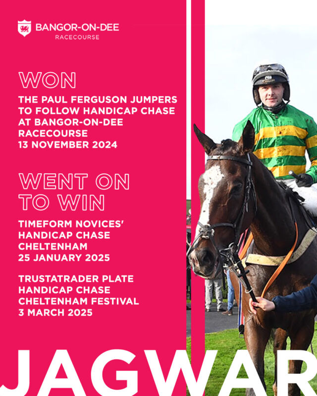 A look back at the Paul Ferguson Jumpers To Follow Handicap Chase at Bangor-on-Dee... and the impressive impact its runners have made since.🏆

From standout wins to Festival glory, this form is stacking up in style.😎