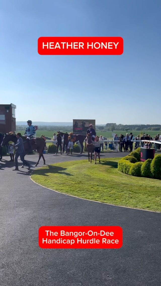 The Bangor-On-Dee Handicap Hurdle Race🥇

HEATHER HONEY🏆
@jpandssracing 
@peterkavanagh1 
Mrs S. Smith