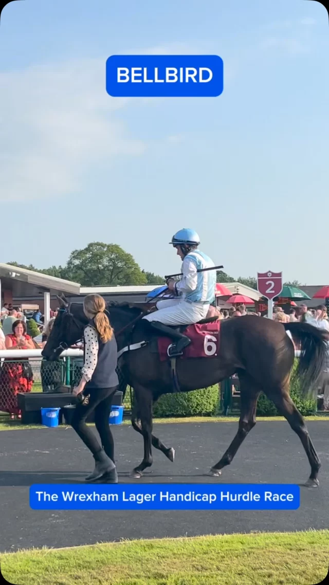 The Wrexham Lager Handicap Hurdle Race

🥇Bellbird
🥇Brian Hughes
🥇Donald McCain
🥇Dalwhinnie Bloodstock Limited