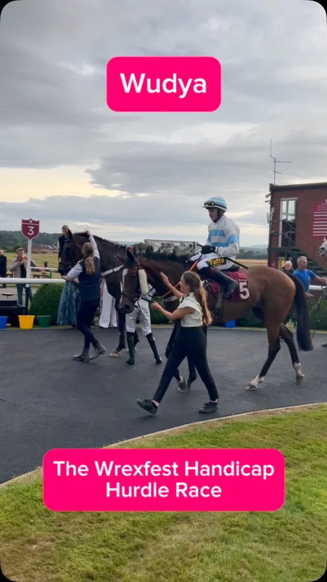 The @wrexfest Handicap Hurdle Race 

🥇Wudya
🥇Peter Kavanagh
🥇Joel Parkinson & Sue Smith 
🥇The Sypel Partnership