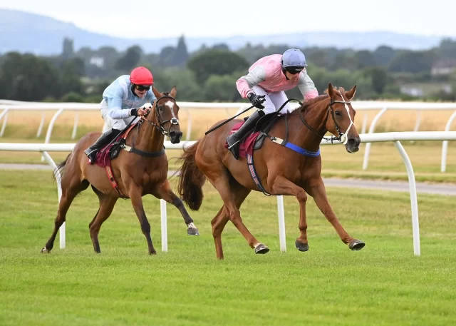 What a brilliant evening it’s been here at Bangor-on-Dee 🏇

A huge thank you to everyone who joined us 🙌

Congratulations to all of tonight’s winning connections, and of course to everyone who backed a winner 🏆

We hope you can join us again after a short summer break on the 5th September!