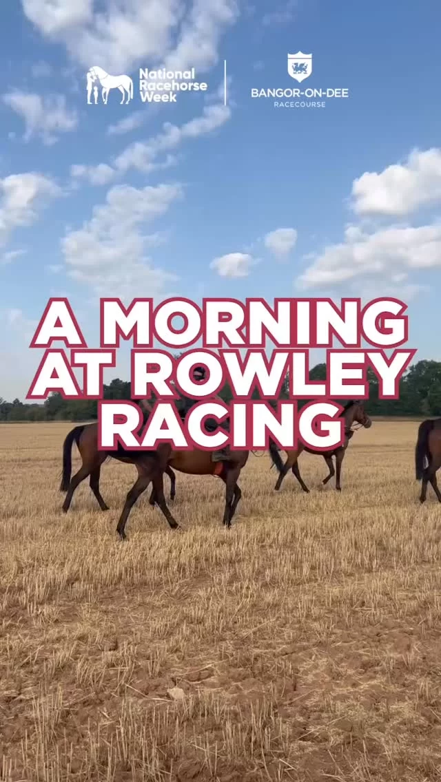 A Morning at Rowley Racing✨

It’s National Racehorse Week!

We spent a morning with the team at @rowleyracingpartners to see what life is like behind the scenes.🐎

Huge thanks to the Rowley Racing team for letting us share their morning!💙

👉 Will you be joining in the National Racehorse Week celebrations?

Tell us in the comments where you’ll be visiting!