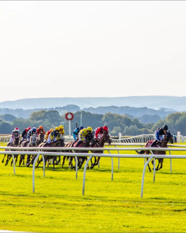 ONE WEEK TO GO⏳

The wait is nearly over – National Hunt racing returns to Bangor-on-Dee next week with our September Meeting!🏇🍂

📅 Gates Open: 11:30am🚪
📅 First Race: 1:55pm🕑
📅 Last Race: 4:45pm🕓

The autumn action is just around the corner… will you be there?👀

Secure your tickets today🎟️ link in bio!
