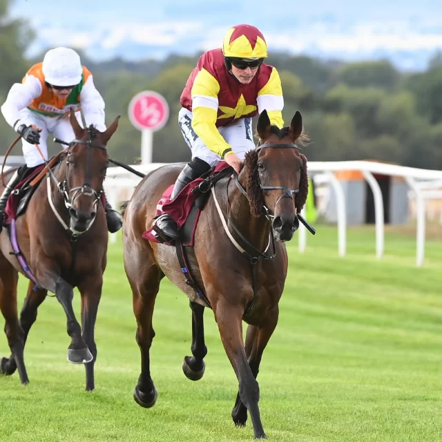 THE WREXHAM LAGER HANDICAP STEEPLE CHASE

🏆 Art of Diplomacy
🏆 James Bowen
🏆 Mickey Bowen
🏆 Peter Bowen Racing Club
