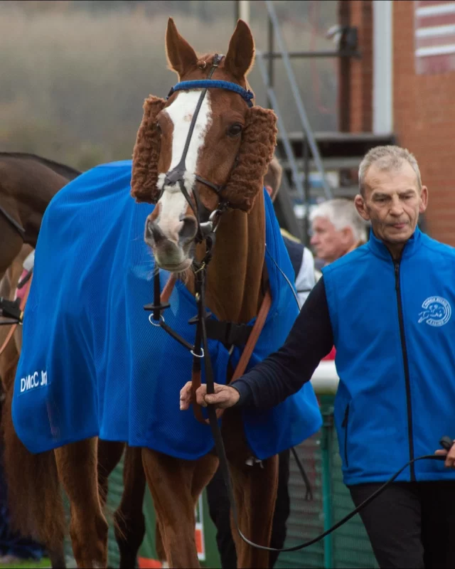 COMING UP🏇

🎃 Monday 27 October – Halloween Raceday
🌿 Wednesday 12 November – Countryside Day in Partnership with @Crest_Enviro
🎅 Saturday 29 November – Breakfast with Santa Raceday
🧣 Friday 12 December – @VirginBet Christmas Jumper Day

Get your tickets today via the link in our bio above.