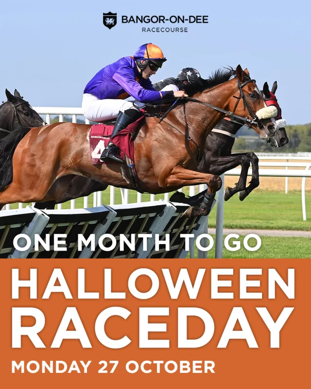 One Month To Go – Halloween Raceday🎃

Boo!👻 It’s nearly time to get spooky at our Halloween Raceday on Monday 27th October.

Join us for a fang-tastic day where everyone (not just the little ones!) is encouraged to dress up. Don your most spook-tacular costume and enter our Best Fancy Dress Competition for the chance to win amazing prizes.

The racecourse will be transformed with pumpkins galore, spooky crafts, plus our trick-or-treat trail will keep your little monsters entertained with clues to follow and sweet rewards at the end!🍬

And that’s not all… we’ve got a surprise visitor joining us on the day, but you’ll have to wait and see who creeps in!👀

🎟️ Don’t forget, our Lead Booker Goes FREE offer is available in selected enclosures when booking for groups of 10 or more. Follow the link in our bio above.