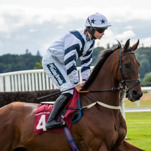 We’ve got something to share… but not just yet…⏰ 

An announcement is coming your way!👀🏇

#BangorOnDee #ComingSoon #TwoWeeksToGo