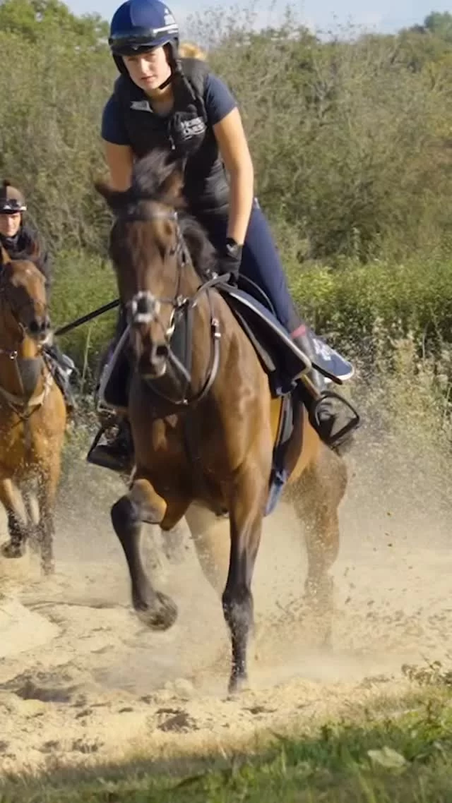 Alan Johns caught up with the team at Greenall Guerriero Racing, Stockton Hall Farm, as they get set for the new season ahead.

It’s always great to see how horses local to us here at Bangor-on-Dee are prepared and race-day ready, with a few potential future winners in the mix too!

To watch the full feature, click the link in our bio above.🎬

#BangoronDee #BehindTheScenes #GreenallGuerrieroRacing #FutureWinners #RacingSeason