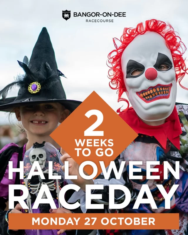 Two Weeks to Go!👻

Come and join us for our Halloween Raceday on Monday 27th October🏇

You can look forward to:
🧛Best Fancy Dress Competition
🍬Trick-or-Treat Trail
✂️Halloween Craft Area
🏇Plus, a full card of thrilling racing action throughout the day.

Kids 17 and under go FREE!

It’s going to be frightfully good fun – see you there!🎃

Find out more and get your tickets via the link in our bio👆