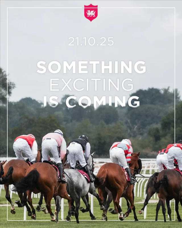 The flag’s not down just yet, but the runners are circling.⏳

Keep your eyes on the start… something exciting is on the way.👀