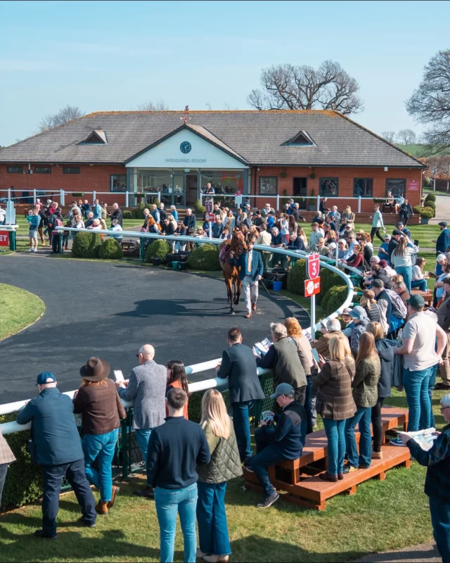 Grafting away @christianwilliamsracing 🏇